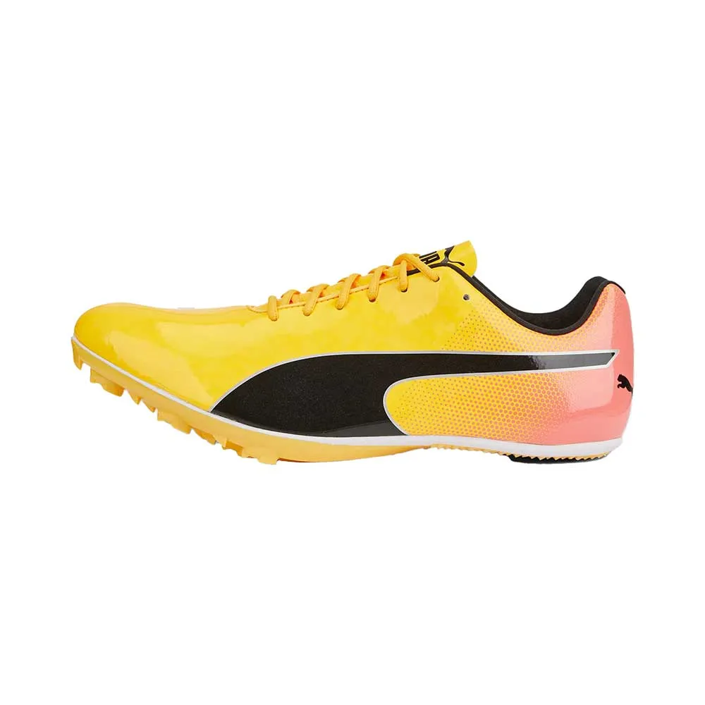 Men's Evospeed Sprint 14 Spike - Sun Stream/Sunset Glow/PUMA Black - Regular (D)