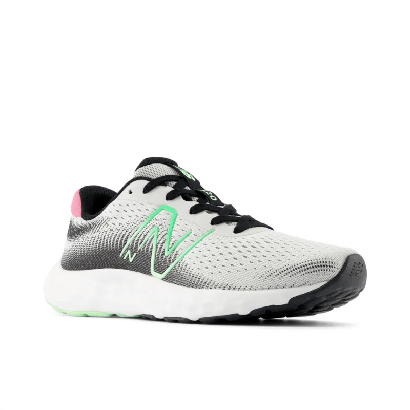 New Balance Women's 520 V8 Running Shoe - W520RT8